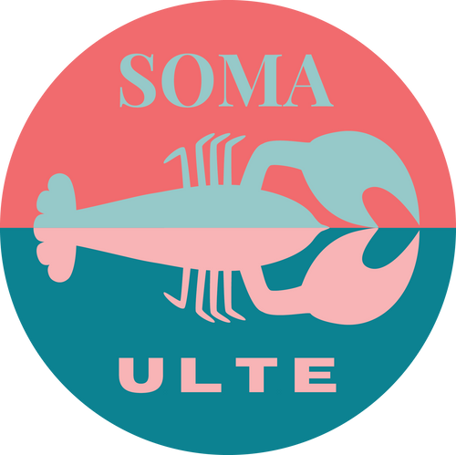 Soma Ulte